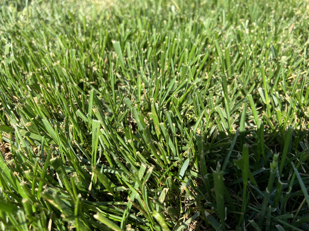 ABC11BFC-BCC7-4D21-86B5-2ED95DEB4205