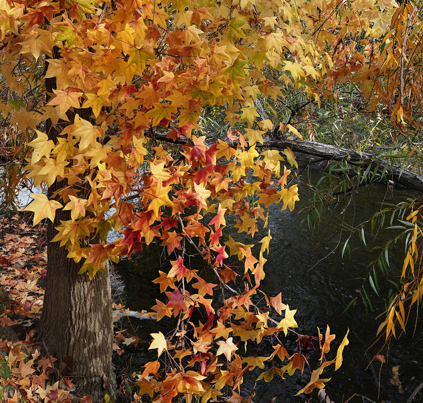 UT07551-07569-2x1vy.jpg