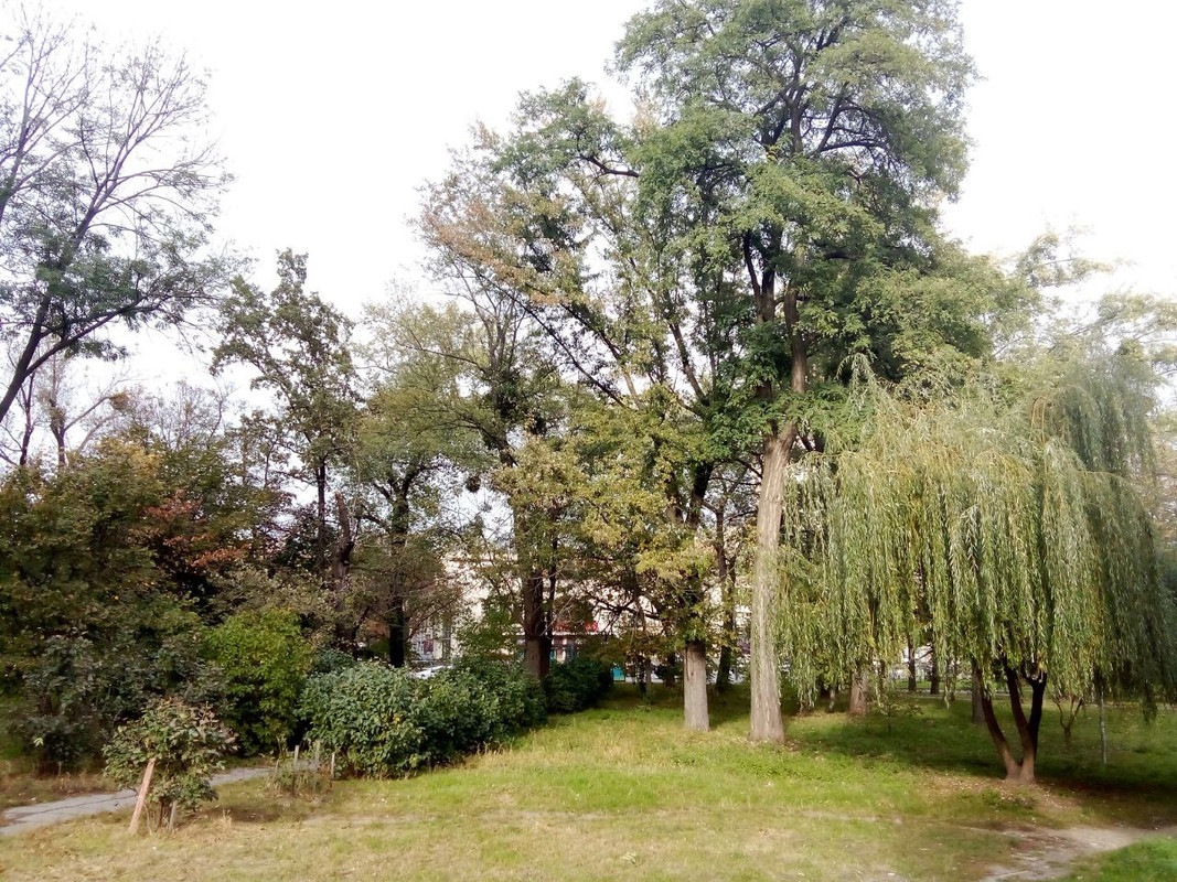 photo_2024-10-19 7.23.14 пп