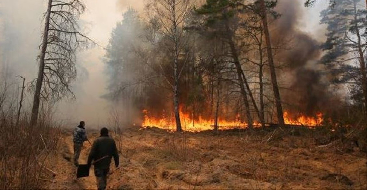 Ucrania acumula 10 mil millones de dólares en daños ambientales