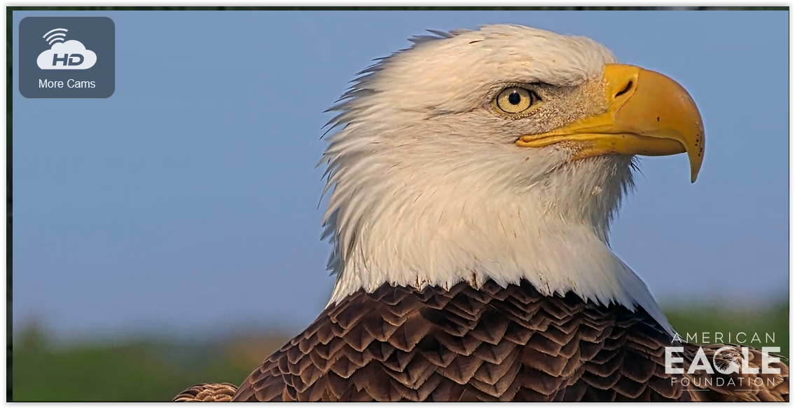 Screen Shot 11 07 25 at 06 07 PM