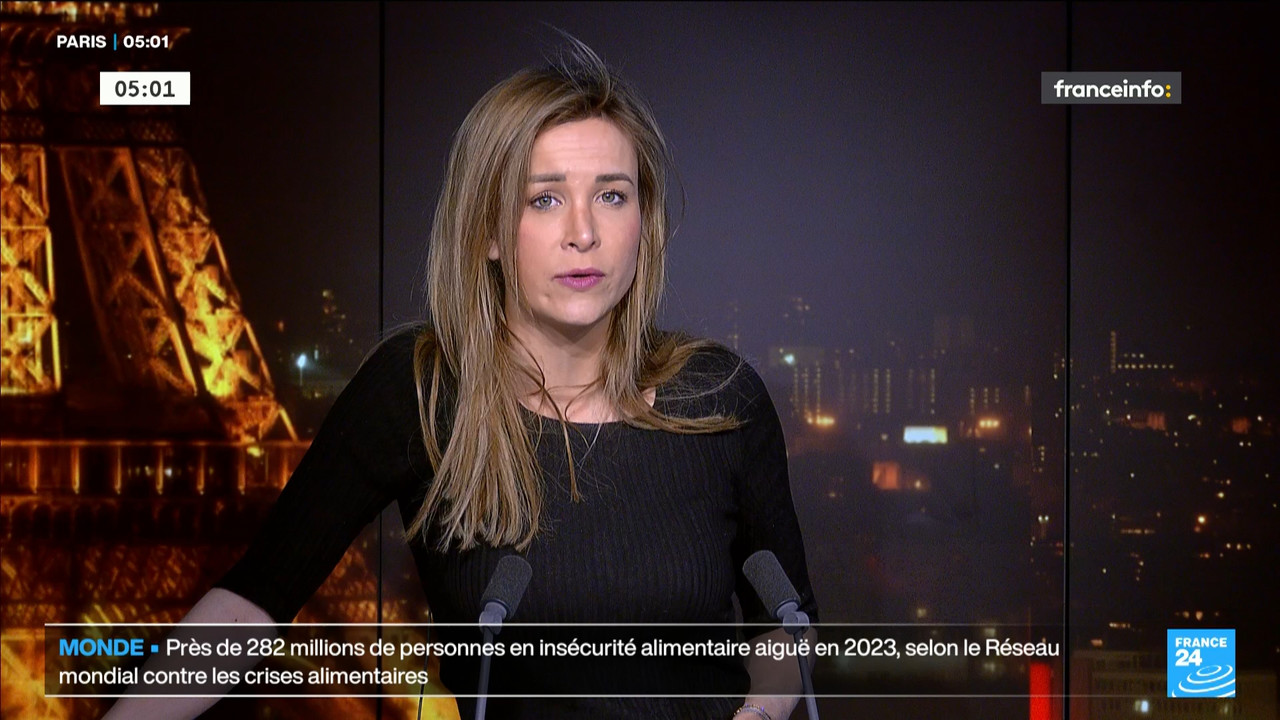 France 24 (Franceinfo)_2024_04_25_03_13_70.ts_snapshot_00.48.22.800