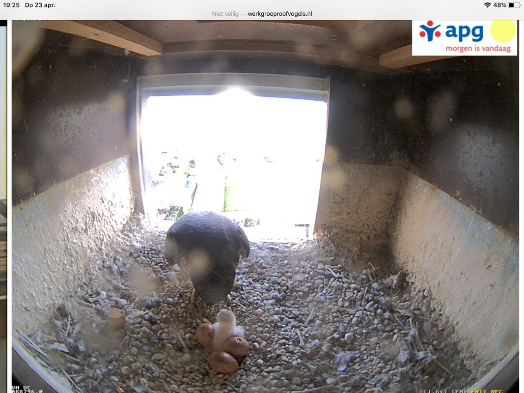 3095A071-D83D-4657-A513-CA48CAABE3C3