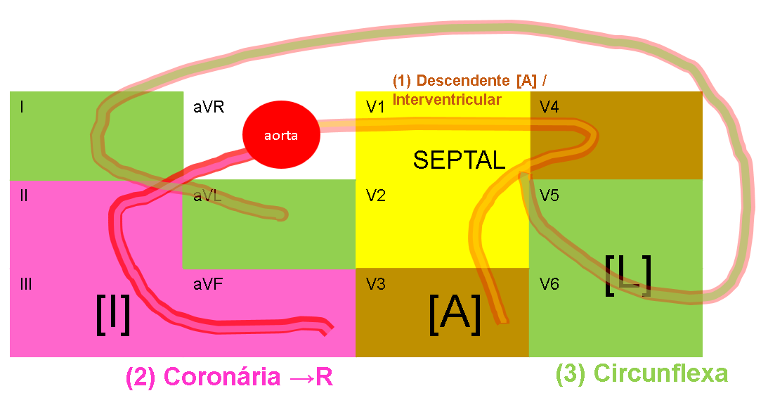 Art Rias do Coração e ECG
