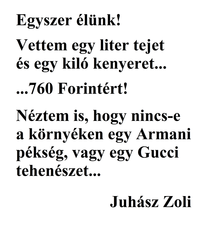 Kép