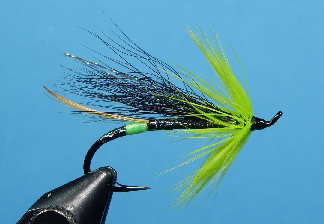 Warrington_Special_1080.jpg