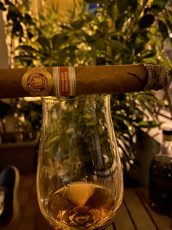 3DCA205C-4BC4-4E1D-9794-0F36A3F83BEE