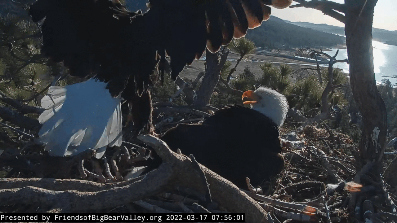 Webp.net-gifmaker (1)