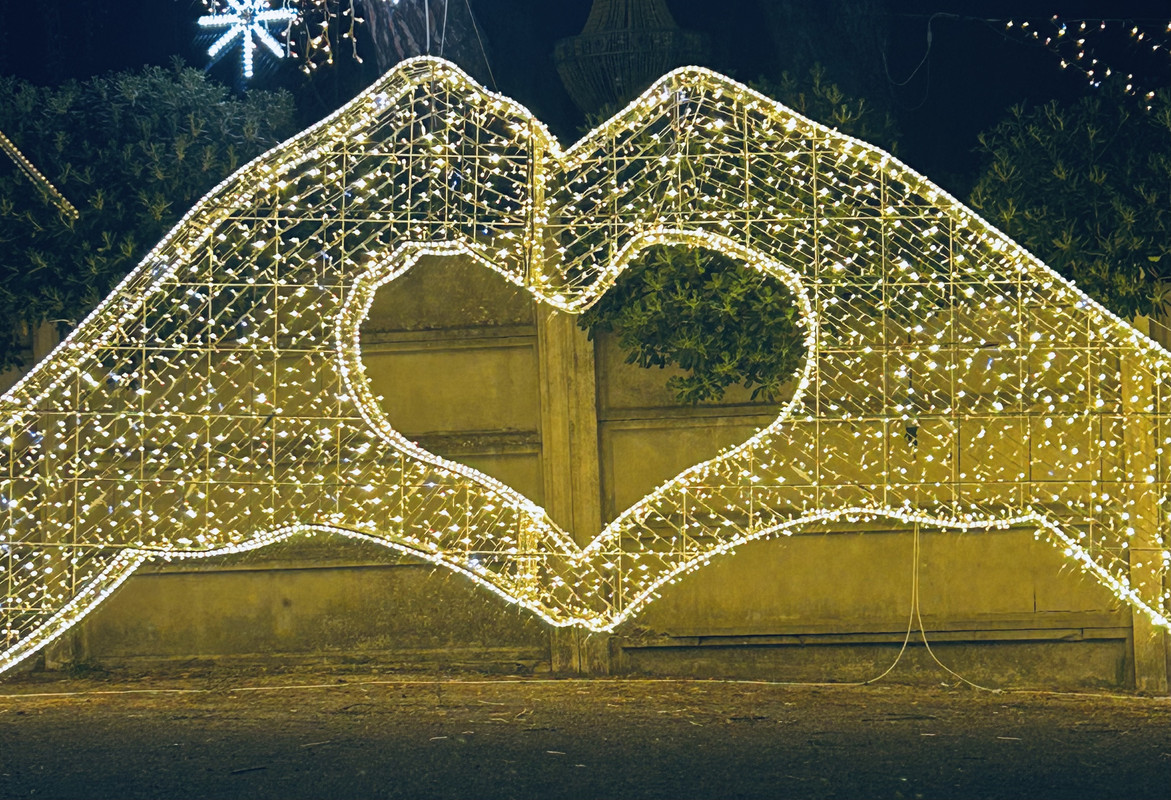 1C8A96D9-718A-410C-9326-7D2495BD0D6A