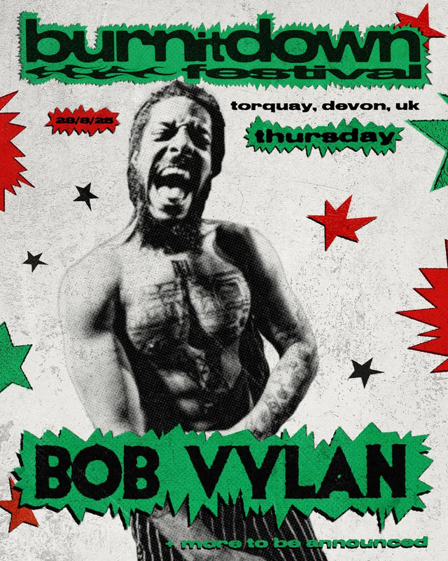 bob-vylan-burn-it-down-festival-2025-torquay