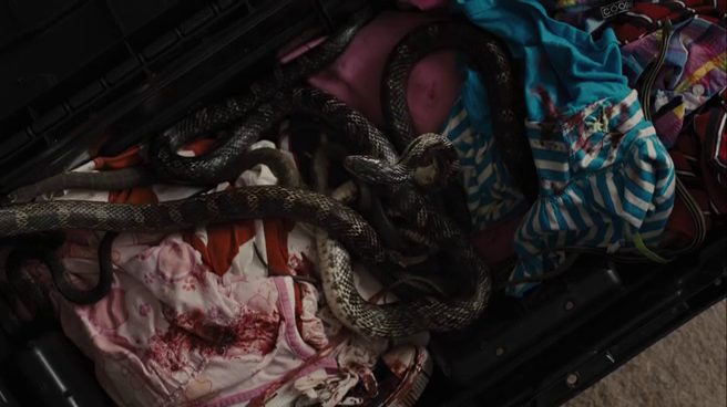 vlcsnap-2014-02-06-01h56m44s27