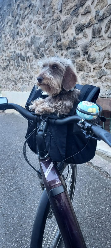 [Image: IMG-20250717-221342.jpg]