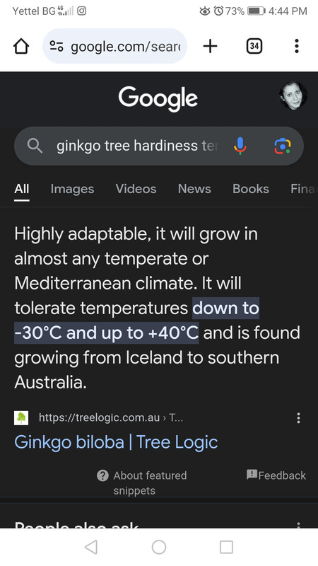 Screenshot_20240420_164419_com.android.chrome