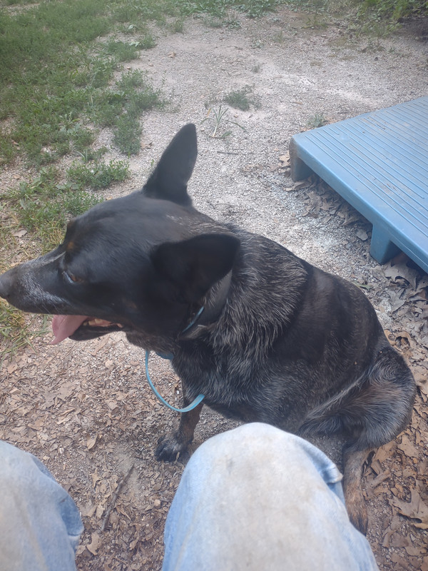 IMG_20220827_190843745