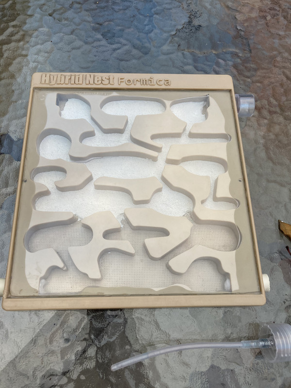 6B6BB2F2-ECCB-4469-9A02-E791CA229B8F