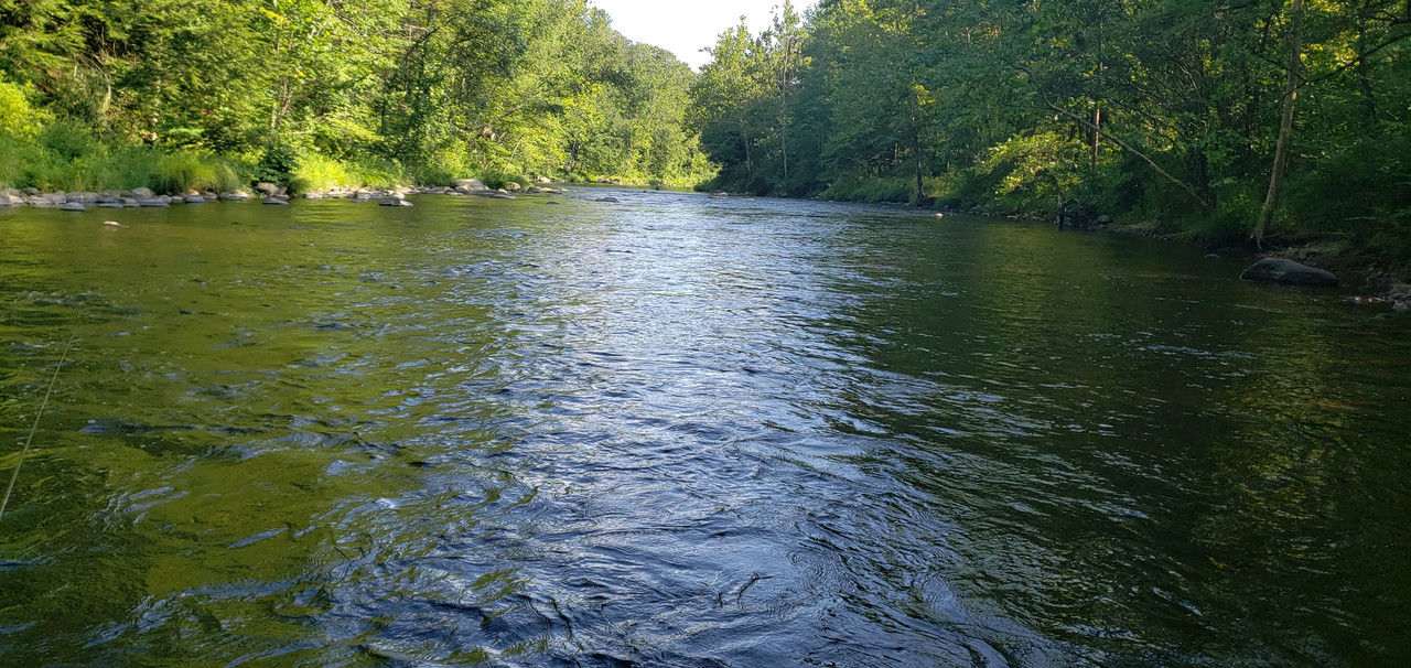 20190808_170113