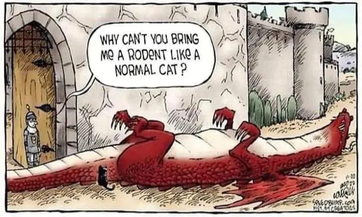 dragon