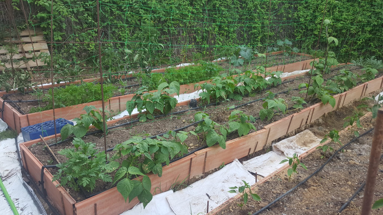 WhatsApp Image 2020-05-21 at 21.54.38 (1)