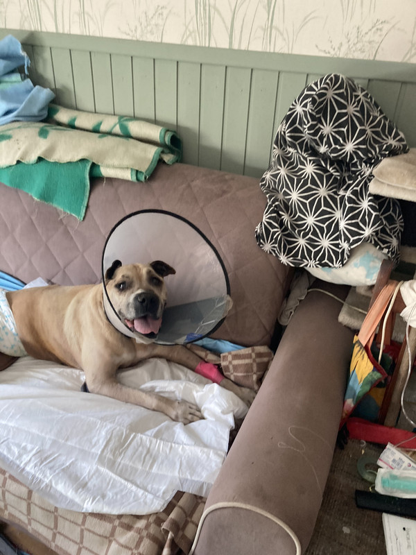 4D49962B-D114-403B-A24F-2858A288FD31