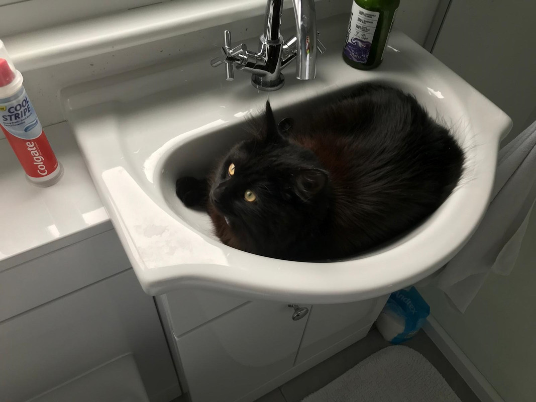 [Image: e04d002b-12d7-4682-9f8f-0a9f43d998cb.jpg]