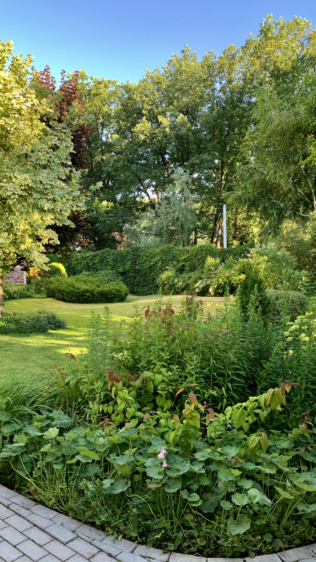 52958F77-077B-4EAF-87C1-051AD6BC8B2B