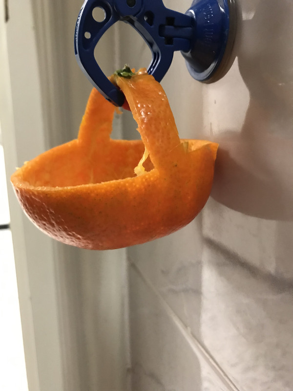 E3C1086E-217F-40F3-B825-47C8A6341CC6