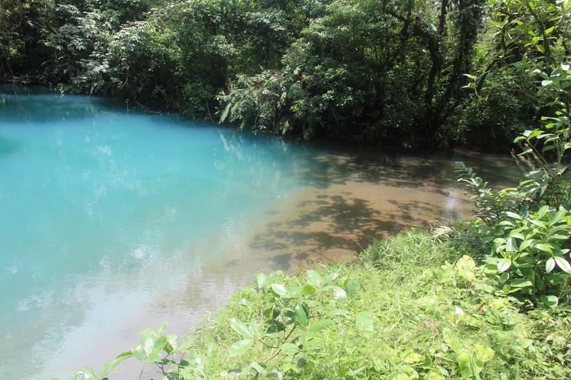 DIA 10: RIO CELESTE - DE TORTUGAS Y PEREZOSOS. COSTA RICA 2019 (24)