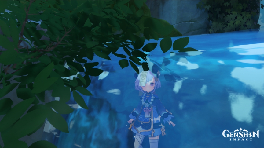 Genshin impact photography