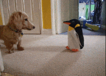 2a177a16ccc407e7fd590355f815e930.gif