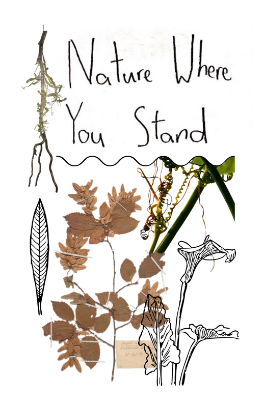 The cover of a zine in an 8-page layout, which displays the title of the zine, “Nature Where You stand,” in big letters. Around it is a collage of plants— a mix of old photos and line-art of leaves and flowers. It is separated from the title text by a solid, squiggly line.