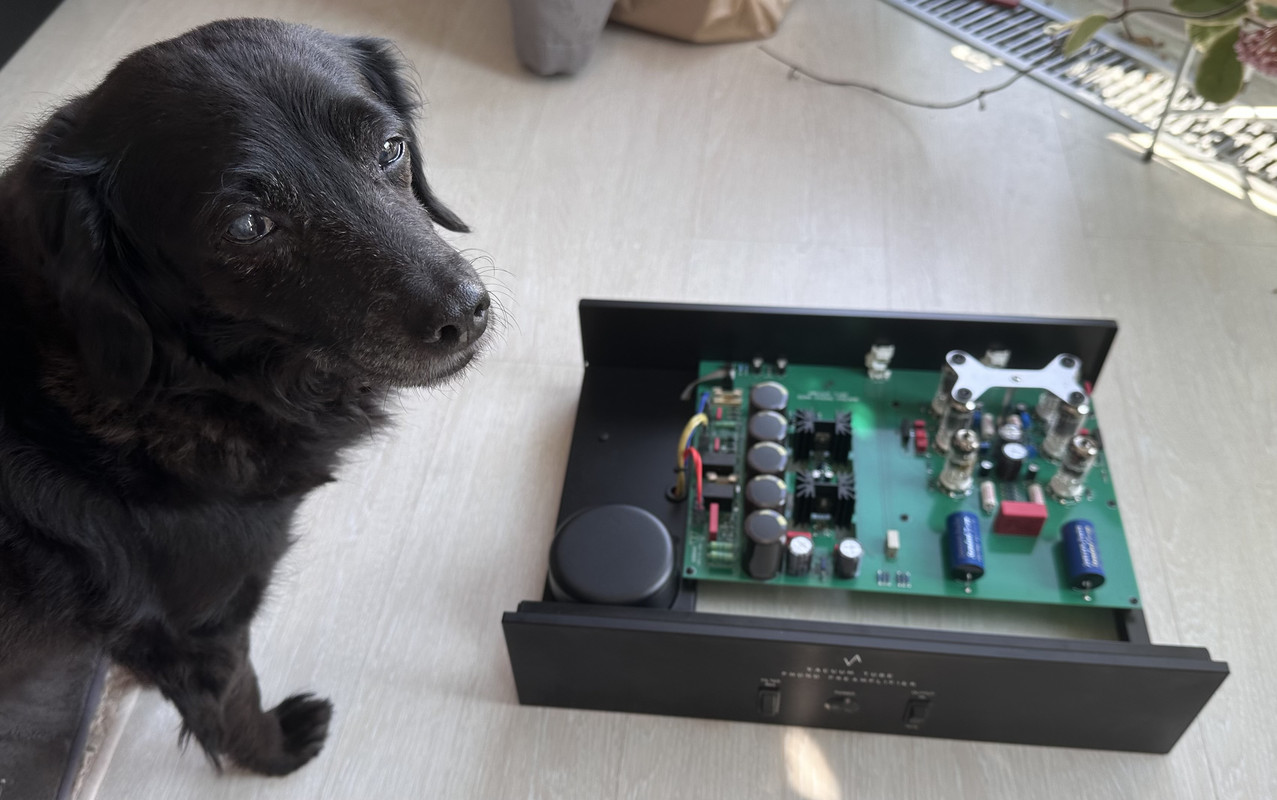 [Image: IMG-8961.jpg]