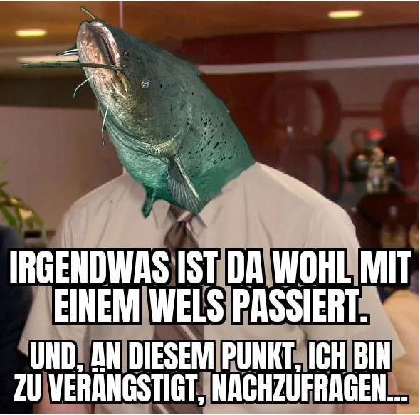 wels.jpg