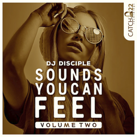 VA - Sounds You Can Feel Vol. 2 (2020)