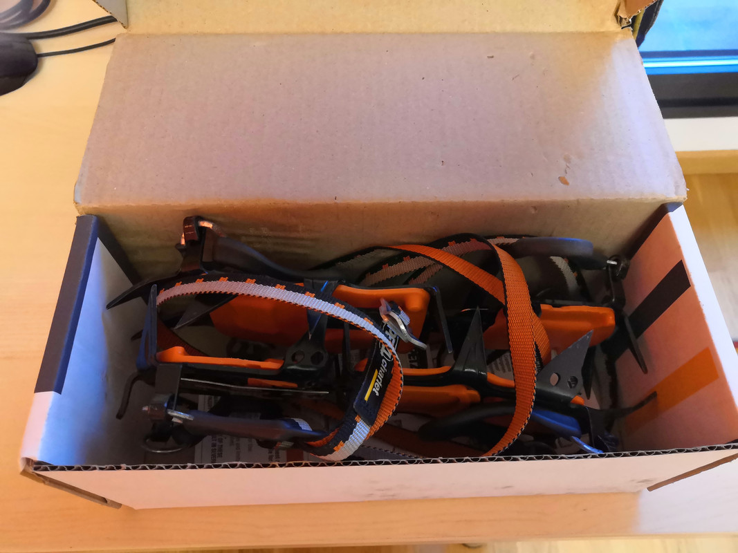 WhatsApp Image 2025-06-12 at 21.41.52