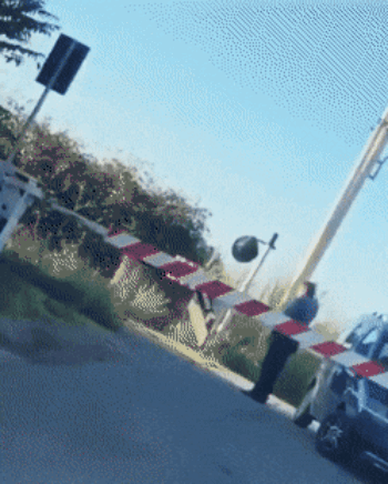 031.gif