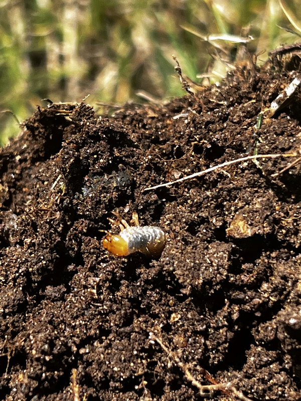 93E3A98E-A27F-462D-9DB1-B870B17993BE