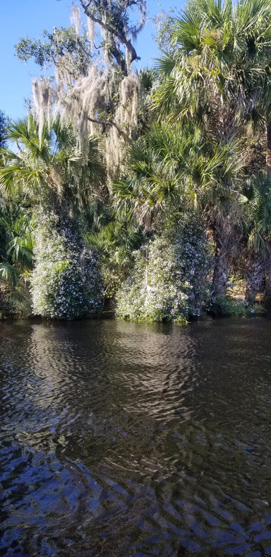 20201030_133310_resized