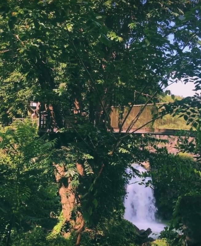 A844A113-4336-4AEA-8EAB-94FCF8695D24