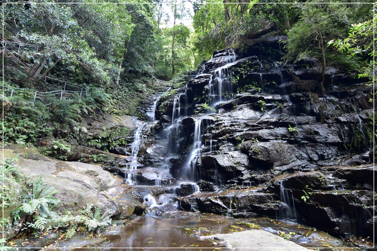 Blue Mountains - Australia (I): toma de contacto (12)