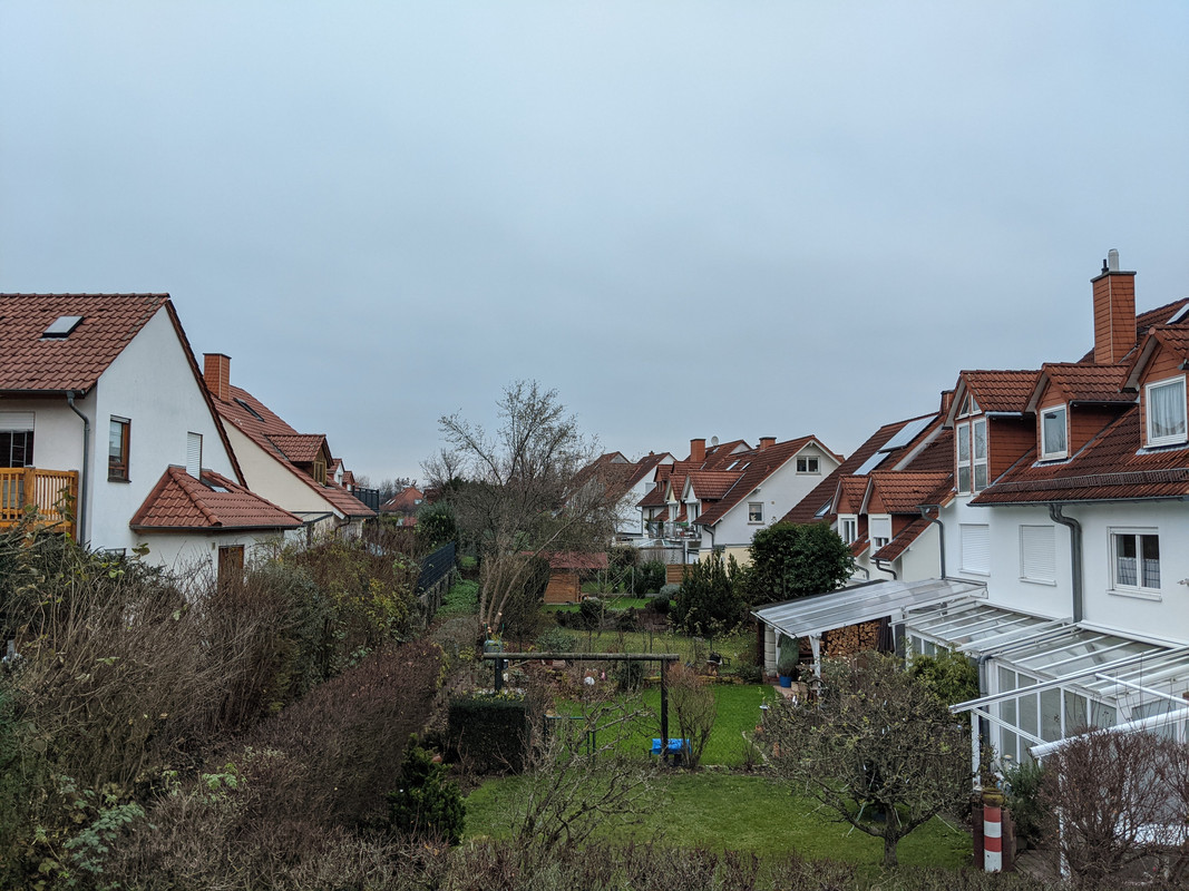 PXL_20201210_074427839