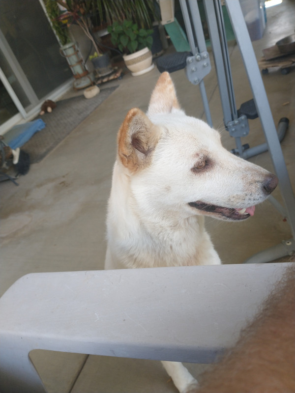 16623337000818426024482539418688