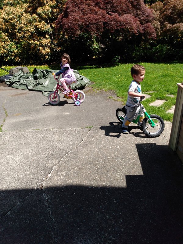 [Image: 8329833172033119997.jpg]