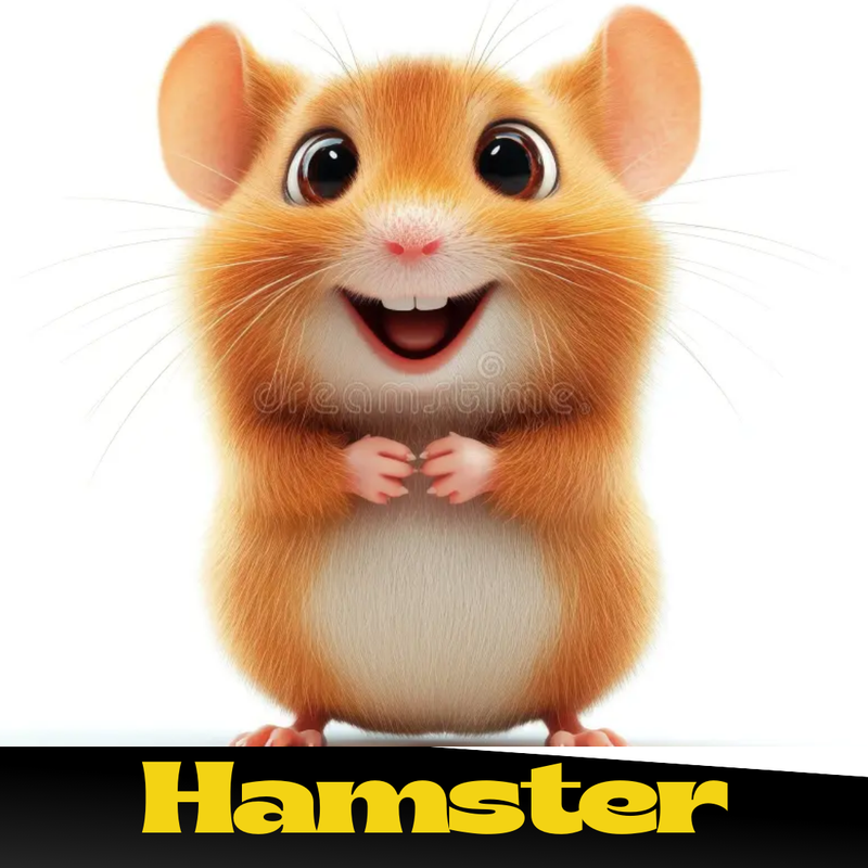 Hamster