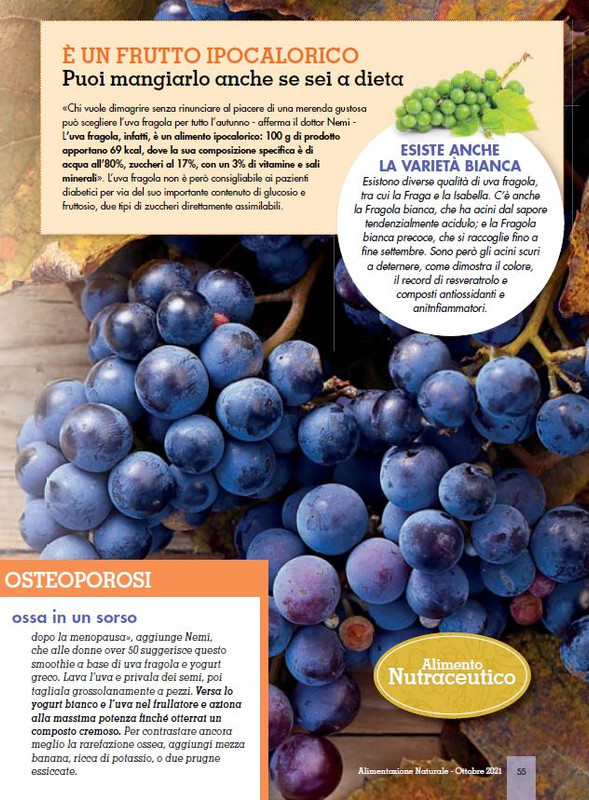 Alim Nat Ott 2021 (6)