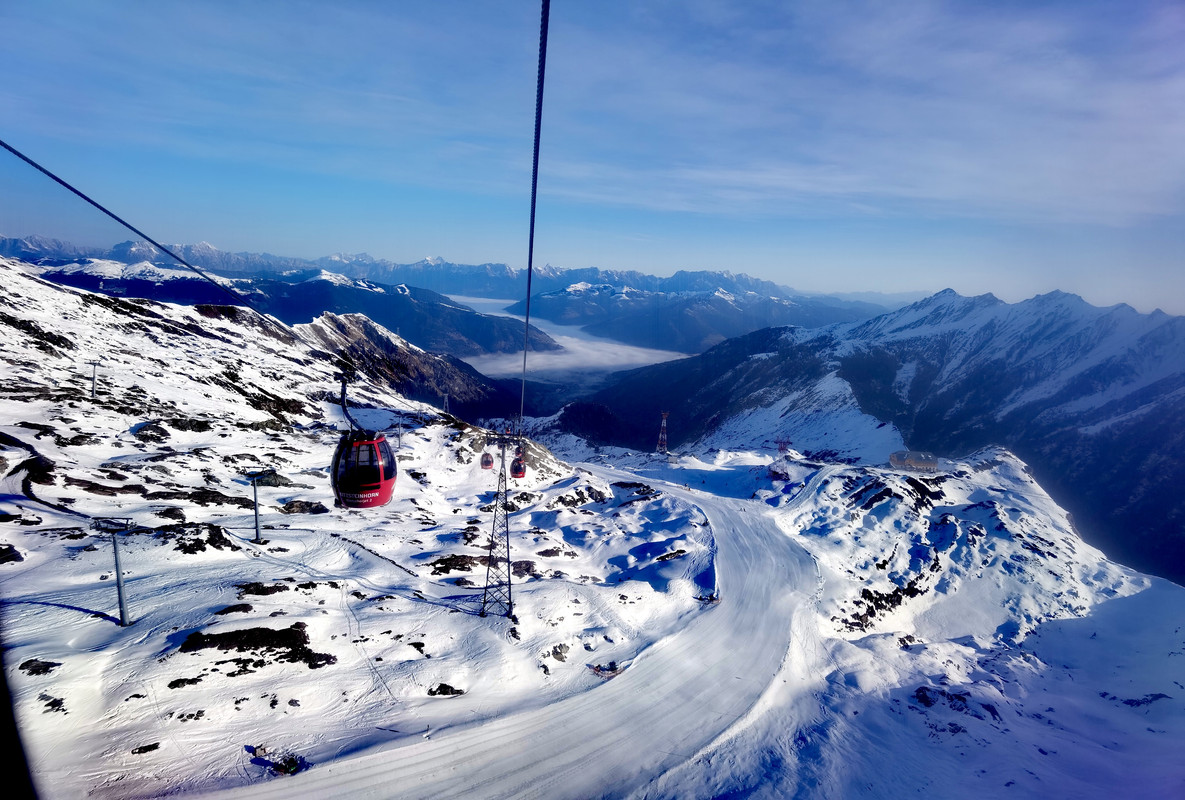 IMG_20211111_083221_edit_307276507669779