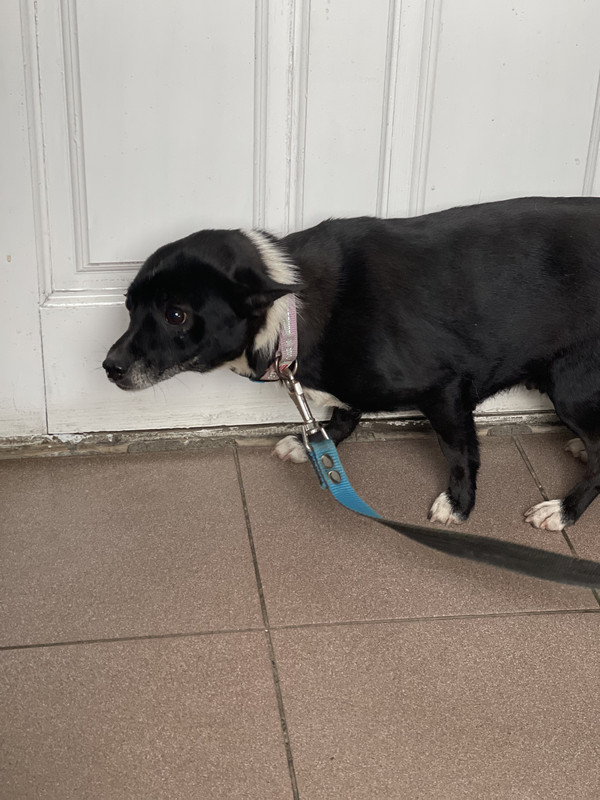 5AF382B4-F439-471A-97F6-BE61663542BF