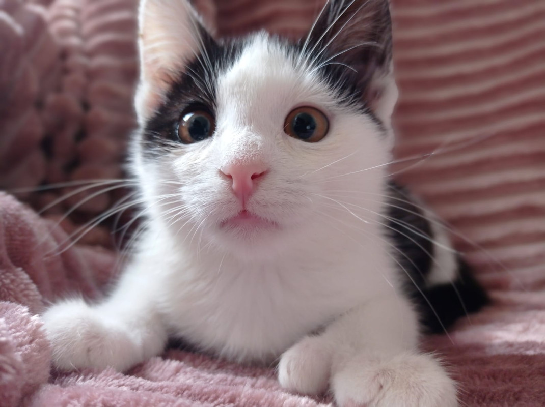 Изображение WhatsApp 2024-09-23 в 20.44.54_f60c9591