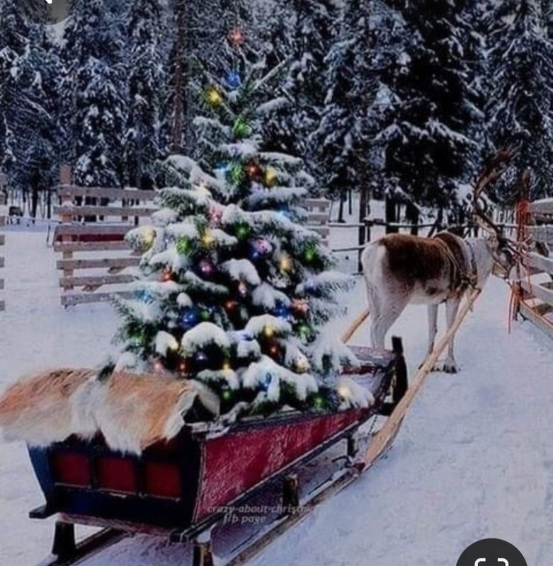 Screenshot_20231211_194329_Pinterest