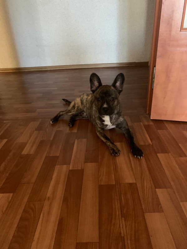 D49D21A6-CFFC-49CF-B536-2D877E706501