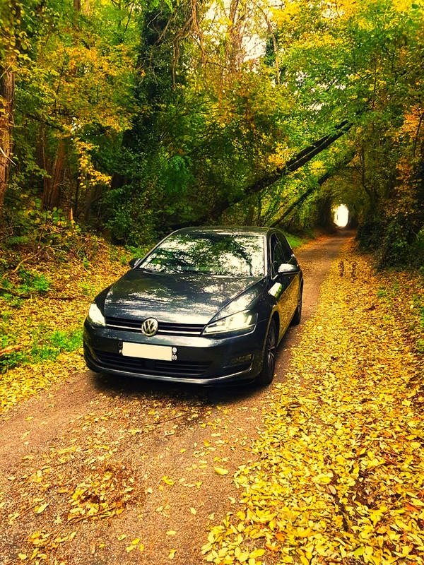 9C598C6F-BF0D-459C-A082-CC0B91E711E8